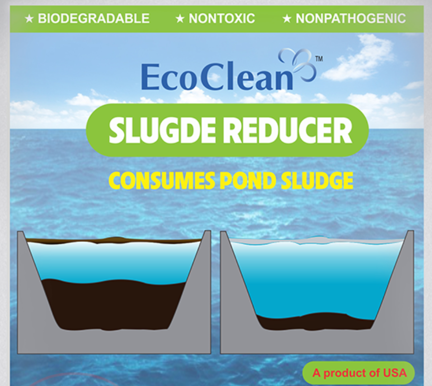 Vi sinh xử lý đáy ao hồ - EcoClean Sludge Reducer 