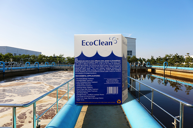 Vi sinh xử lý nước thải công nghiệp, cao su, bệnh viện - EcoClean 200