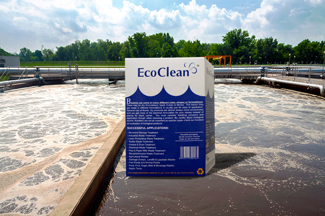 Vi sinh xử lý nước thải ngành Giấy - EcoClean 118 