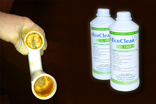 Bio-treatment for Drain & Grease Traps - EcoClean L100F