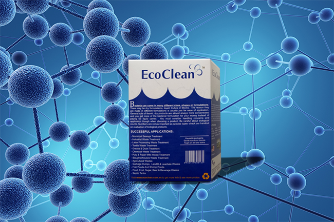 Vi sinh hiếu khí xử lý nước thải sinh hoạt - EcoClean 211